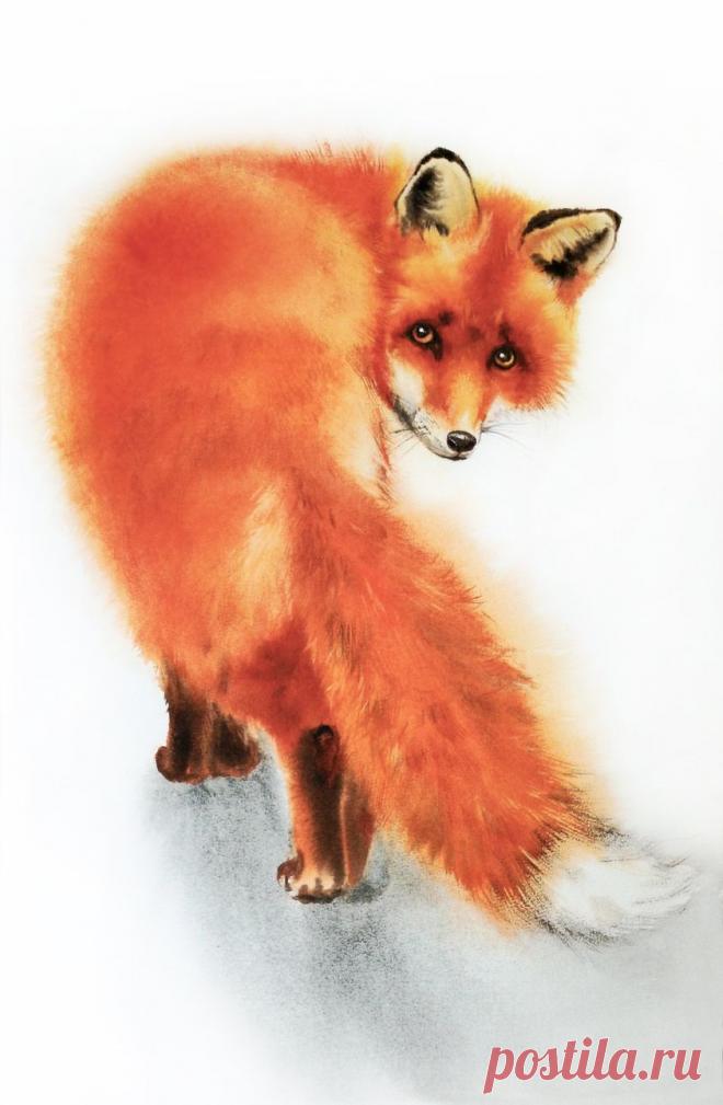 Группы | Facebook