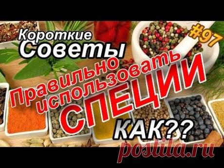 СПЕЦИИ, что к чему подходит? Как правильно использовать СПЕЦИИ? - YouTube