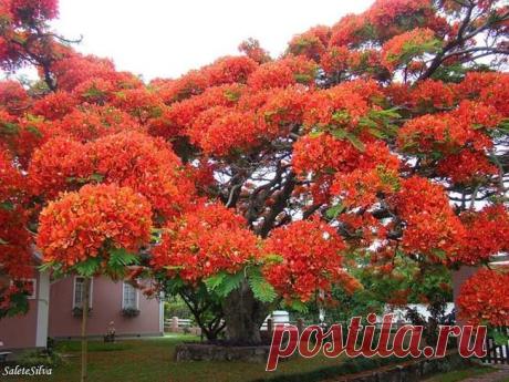 (10) Facebook