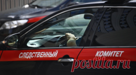СК возбудил дело после пропажи пятилетнего мальчика в Тверской области. Уголовное дело возбуждено по факту исчезновения пятилетнего мальчика в Конаковском муниципальном округе Тверской области. Ребёнок 4 июля ушёл с дачного участка в СНТ «Майский» и не вернулся, сообщили в региональном ведомстве. Читать далее