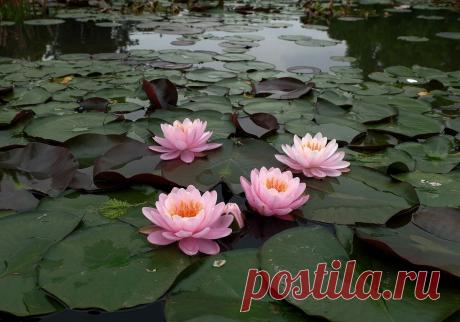 ​​ ​​ - на Мой Мир@Mail.ru