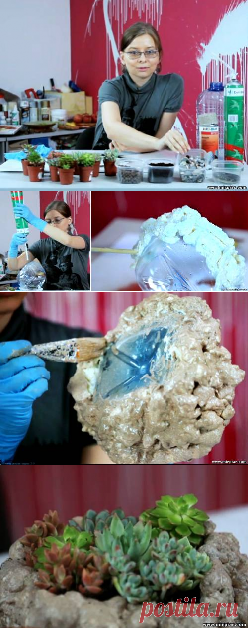 Комнатный садик из офисной бутылки. Переделка - Советы мастеров - Ручная работа Мода Дизайн Декор Переделки Уроки - Каталог статей - "MirPiar.com" - Справочно-информационный портал. Донецк