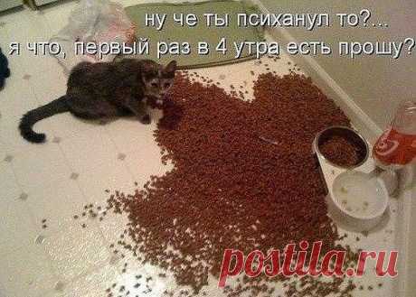 ВСЁ ЛУЧШЕЕ ИЗ YOU TUBE (16 плюс)
Lumber jack