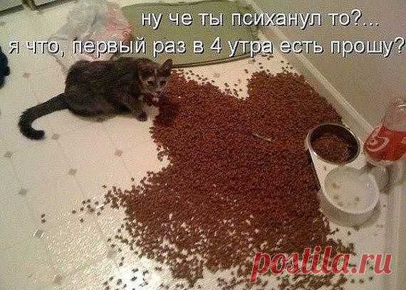 ВСЁ ЛУЧШЕЕ ИЗ YOU TUBE (16 плюс)
Lumber jack
