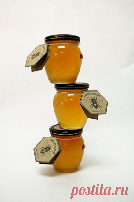 (957) Pinterest - Colony Farms Honey | Produção de mel