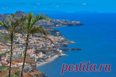 Южный берег Мадейры 1. Мадейра - как юная красавица-невеста. Какой стороной ни повернешь - та всегда будет рабочей. Алё! Я о фотографической стороне говорю, а не о том, что ты сейчас подумал, извращенец! Пишет
Есть остро...