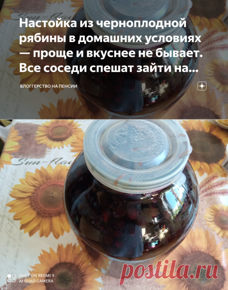 Настойка из черноплодной рябины в домашних условиях — проще и вкуснее не бывает. Все соседи спешат зайти на дегустацию | Блоггерство на пенсии | Яндекс Дзен