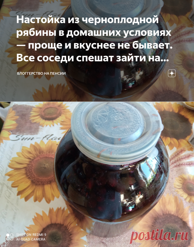Настойка из черноплодной рябины в домашних условиях — проще и вкуснее не бывает. Все соседи спешат зайти на дегустацию | Блоггерство на пенсии | Яндекс Дзен