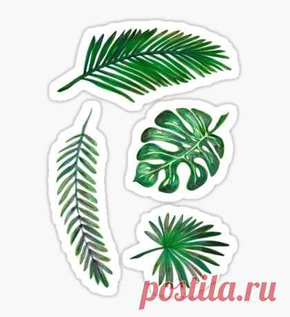 (115) Pinterest