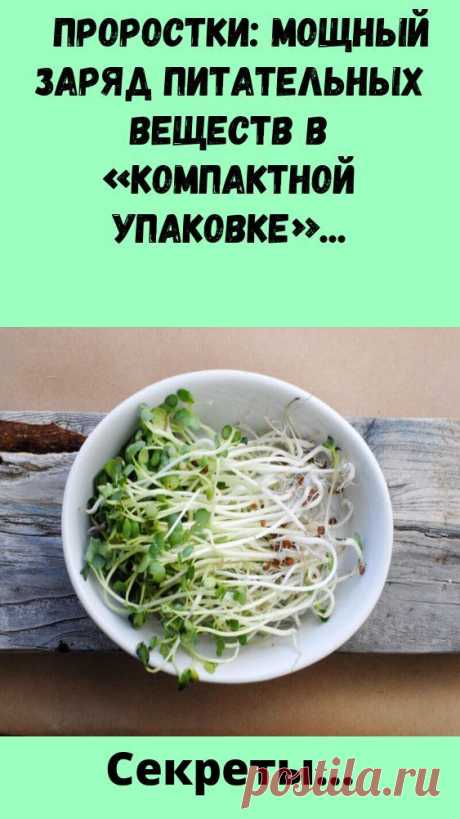 Проростки: мощный заряд питательных веществ в «компактной упаковке»
Проростки содержат самые высокие уровни питательных веществ среди доступных продуктов питания, в том числе витаминов, минералов, антиоксидантов и ферментов, которые помогают защититься от свободных радикалов. Народная медицина — рецепты, советы, способы, cекреты и народные средства.