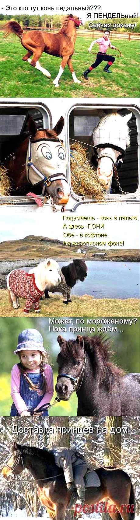 Конь педальный и компания