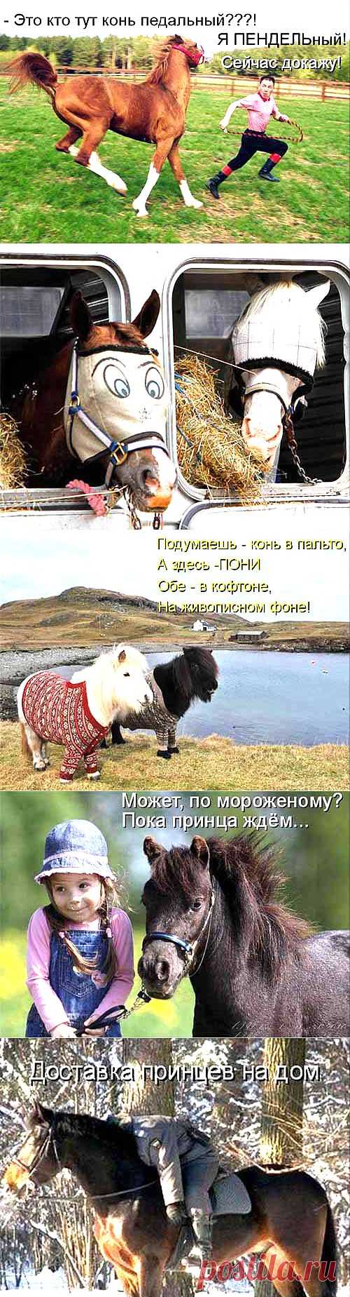 Конь педальный и компания