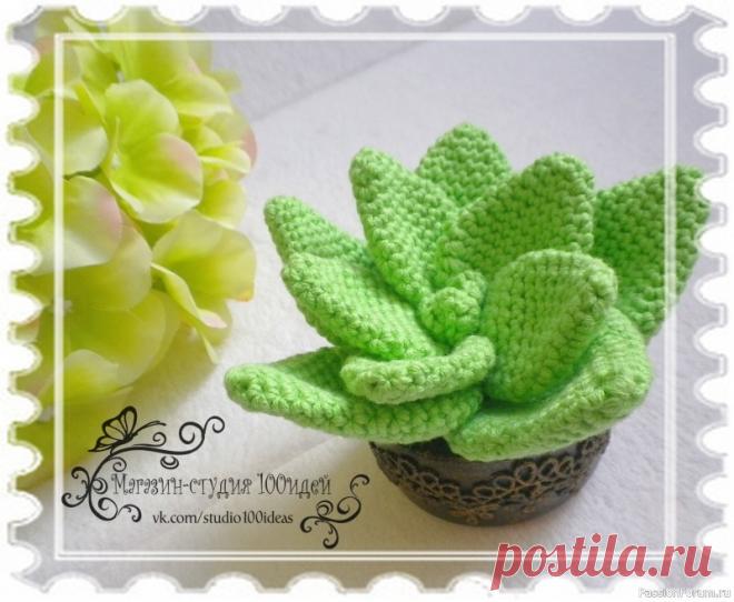 Вязаные крючком суккуленты не завянут. Видео МК | Вязаные крючком аксессуары Комнатные суккуленты сейчас в моде, я решила не отставать и связала такое растение, их ещё называют 