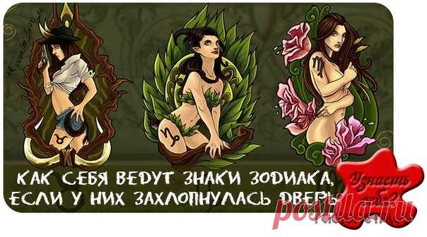 Веселый гороскоп – Как ведут себя разные знаки когда у них захлопнулась дверь