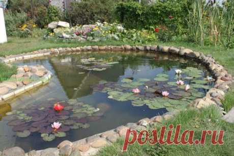 Как сделать искусственный пруд. Автор Петр Кусков. | Урожайная дача