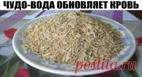 ЧУДО-ВОДА ОБНОВЛЯЕТ КРОВЬ
Попался полезный рецепт о пользе овсяной воды. О нём пишет женщина, испытавшая его на себе...
Этот рецепт мне достался от мамы. Овсяная вода — отличное средство для каждого! Овсяная вода обновляет кровь, что важно для всех. Она нормализует обмен веществ, улучшает работу почек, укрепляет иммунитет. И вообще она оживляет весь организм.
Мне скоро исполнится 80 лет, но больше 60 не дает никто. Сама же я ощущаю себя 50-летней. Думаю, это заслуга овсяно...