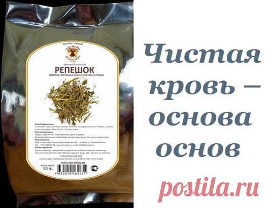 Мой старший брат Саша — врач- кардиолог. Он часто со мной проводит просветительские беседы, рассказывает много интересного. Саша говорит, что состав и чистоту крови во многом определяет качество жизни любого организма. Если в крови каких-либо «составляющих» появляется значительно больше или, наоборот, меньше нормы, то развиваются заболевания. Поэтому очищение крови — один из способов оздоровления организма. В старину большинство болезней медики объясняли «дурной кровью», к...