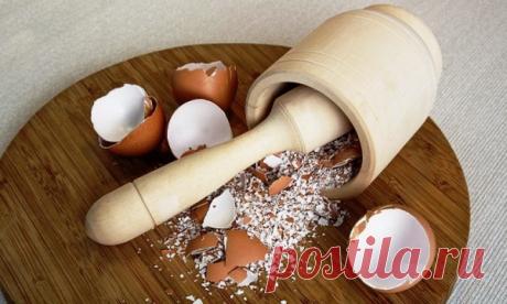 УДОБРЕНИЕ ИЗ ЯИЧНОЙ СКОРЛУПЫ Как и у большинства тех, кто живет в своем доме, у меня есть небольшой курятник с двумя десятками курочек-несушек. Это у меня безотходное производство: помет на грядки, куры и яйца — на еду, а скорлуп…