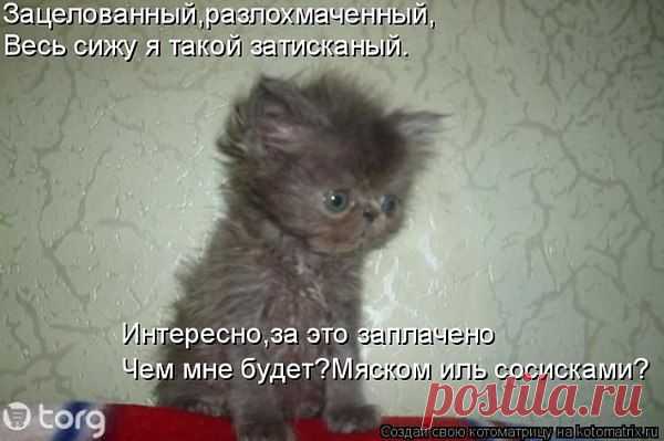 Ольга