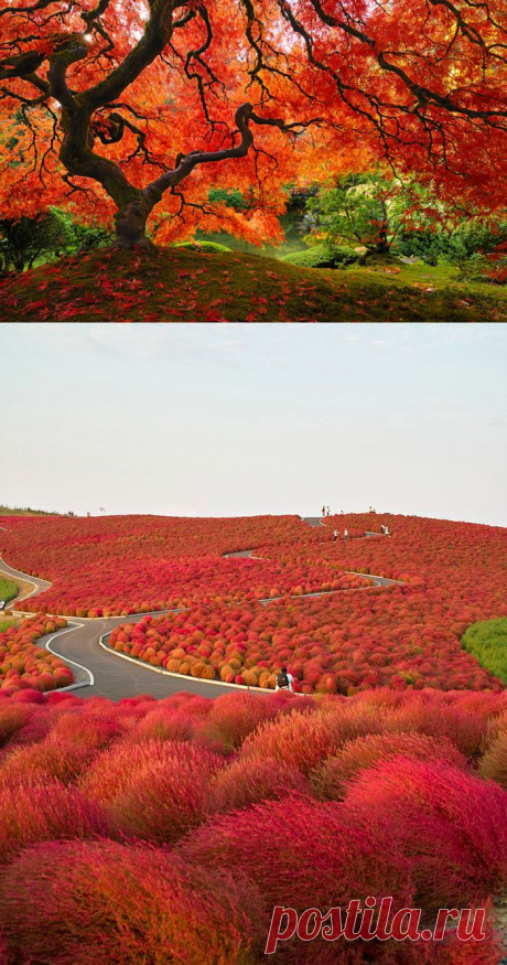 Краски осени.