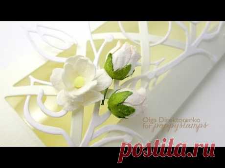 Elegant Lattice - Birthday Card + Treat Box