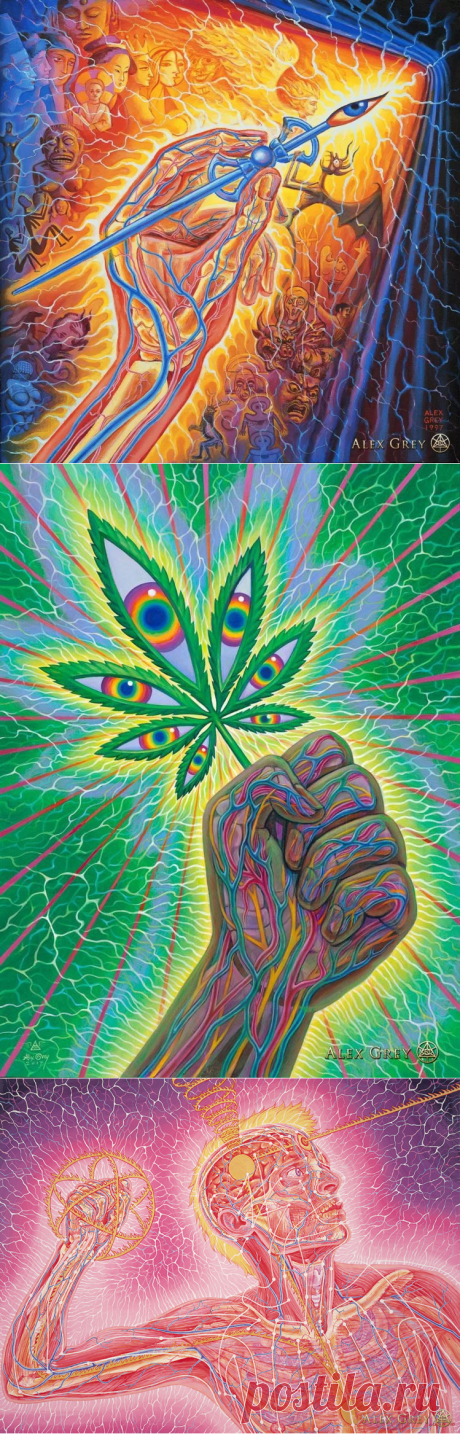 Алекс Грей – визионер, художник, патологоанатом