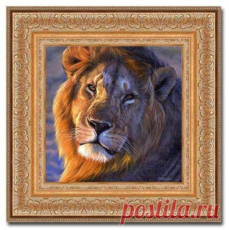 Фото Без названия. Альбом ЦАРЬ ЗВЕРЕЙ - 50 фото. Фотографии ⊰✿⊱ ОЛЬГА ⊰✿⊱.