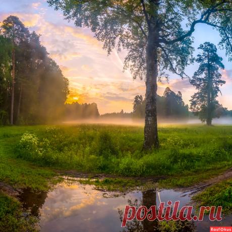Фото: После ночного дождя. Фотограф путешественник Фёдор Лашков. Пейзаж - Фотосайт Расфокус.ру