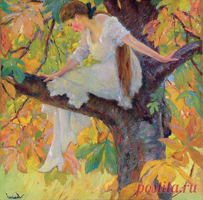 (4) Одноклассники