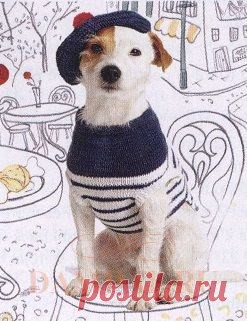Для Животных | DAMские PALьчики. ru