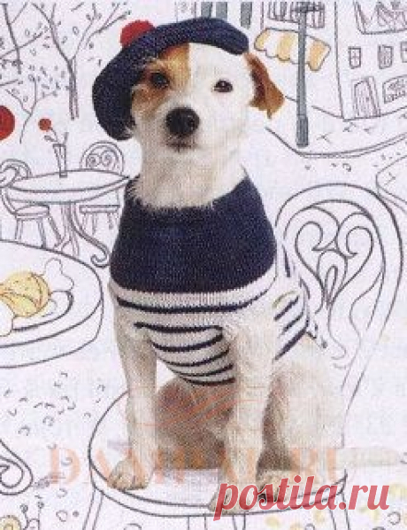Для Животных | DAMские PALьчики. ru
