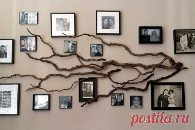 Фотографии в интерьере: 10 оригинальных идей :: #Дизайн ::
#Семейное_дерево
Дерево, на ветвях которого «растут» кадры с самыми важными событиями жизни, — отличный способ разместить семейные снимки. Или пусть это будет #генеалогическое_древо вашего рода. Такую композицию можно использовать для украшения гостиной, спальни или детской.