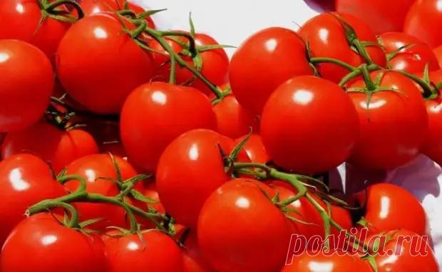 Самые вкусные рецепты салатов на зиму из помидоров - Будет вкусно - 23 сентября - 43561697885 - Медиаплатформа МирТесен