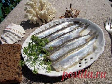Мойва маринованная домашняя - Простые рецепты Овкусе.ру