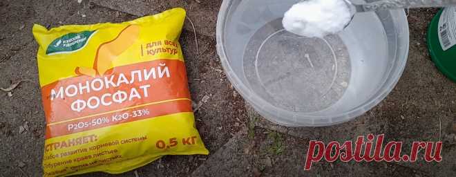 Монокалийфосфат: для чего, когда, как и сколько. С чем можно смешивать, а с чем не стОит | С грядки - к столу | Дзен