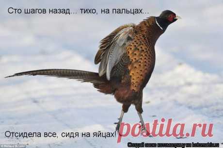 1167321.jpg (изображение «JPEG», 750 × 497 пикселов)