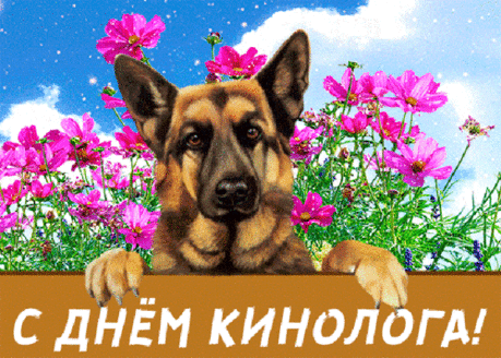 День кинолога страна отмечает,
Поздравляю от души с Вашим днем.
Пусть удача повсюду встречает,
Пусть теплом Ваш наполнится дом.