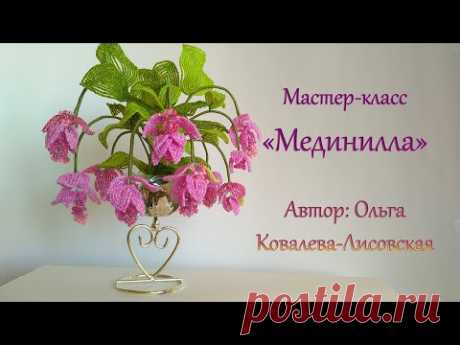 МК / МЕДИНИЛЛА (MEDINILLA) ИЗ БИСЕРА/ Мастер-класс Ольги Ковалевой-Лисовской  / Цветы из бисера