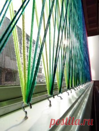 Window's Display