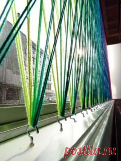 Window's Display