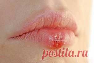 Людей ест не рак! - а грибы-слизевики.