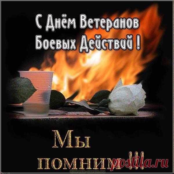 Сегодня славим ветеранов,
Примите низкий наш поклон,
Спасибо вам за все старания,
За то, что дарите покой.