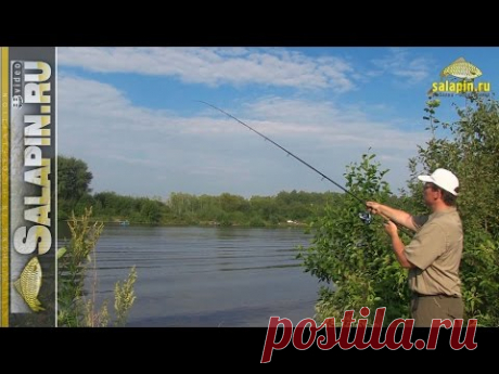 Как пробить дно фидером и исследовать его структуру [salapinru]