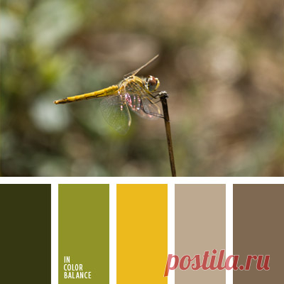 Цветы, деревья — источник вдохновения! | BepHuK собирает друзей