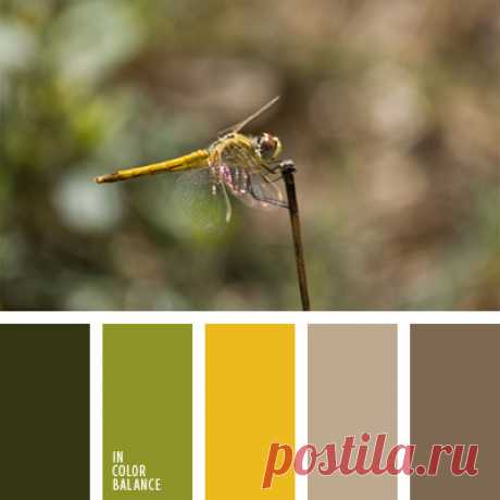 Цветы, деревья — источник вдохновения! | BepHuK собирает друзей