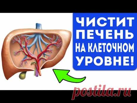 Пил этот чай перед сном и почистил печень, кишечник, сосуды тела и головы! - YouTube