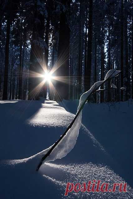 (163) Pinterest