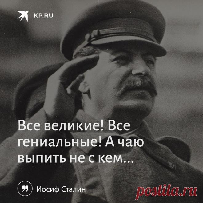 Лучшие анекдоты, афоризмы и шутки недели. И, конечно, финальный раунд схватки Сталина и Черчилля | Белорус и Я | Дзен