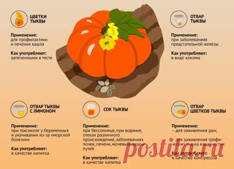 chem-polezna-tyikva.jpg (824×595)