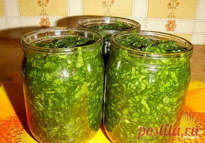 Щавель консервированный - пошаговый кулинарный рецепт на Повар.ру